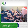 Venta caliente Hot Galvanzied Pipe Ganadería Equipment Pig Weaning Pening